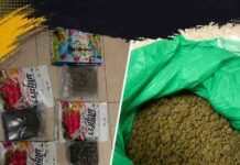 Chennai Customs Seizes 4.86 Kg Suspected Narcotics From Bangkok Passenger