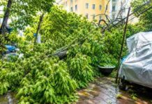 Heavy Rain And Thunderstorms Disrupt Kolkata, South Bengal As Weather Alert Continues