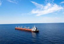 “Exercise Utmost Caution”: India Warns Citizens Taking Up Jobs On Vessels In Black Sea