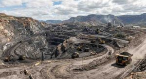 Coal