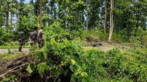Nagaland