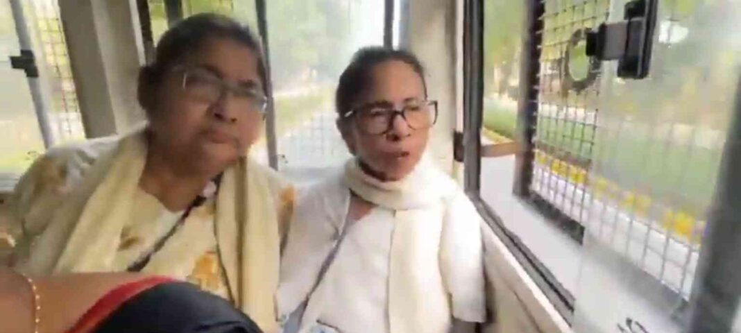 Mamata